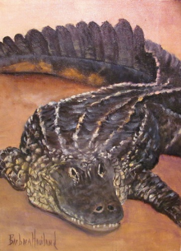 Alligator by Barbara Haviland
