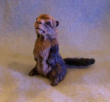 1/12th Scale Groundhog by Camille Meeker Turner