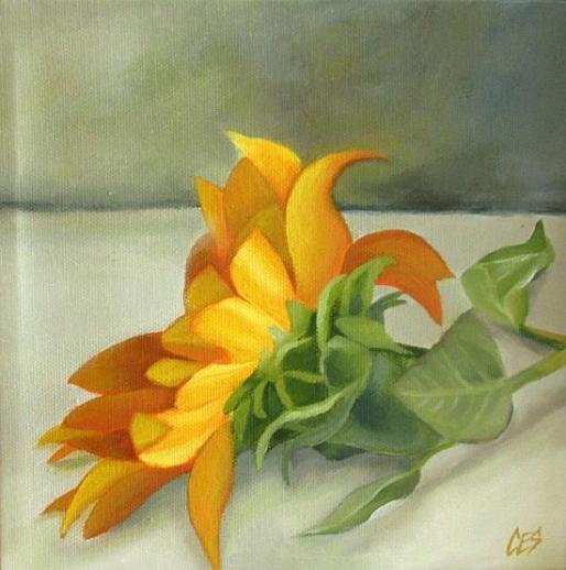Sunflower by CES