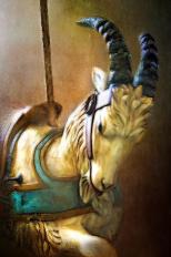 Carousel Goat by Carolyn Schiffhouer