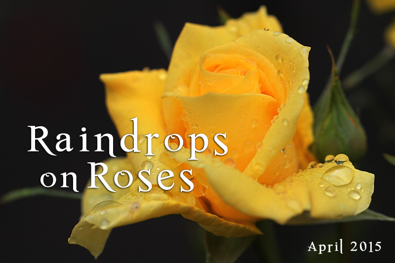 Raindrops on Roses (and other things)